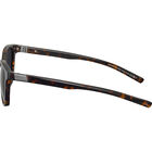 AXIN, Havana Shiny-Axis Polarized, hi-res image number null